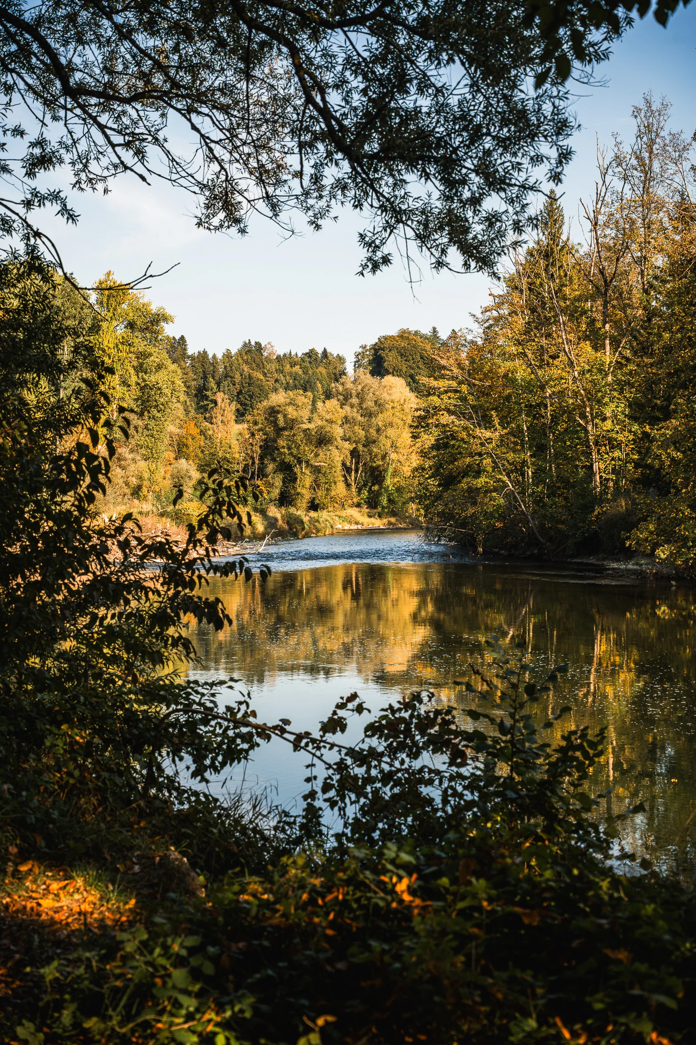 Alz mit Bäumen und ruhigem Wasser in Trostberg