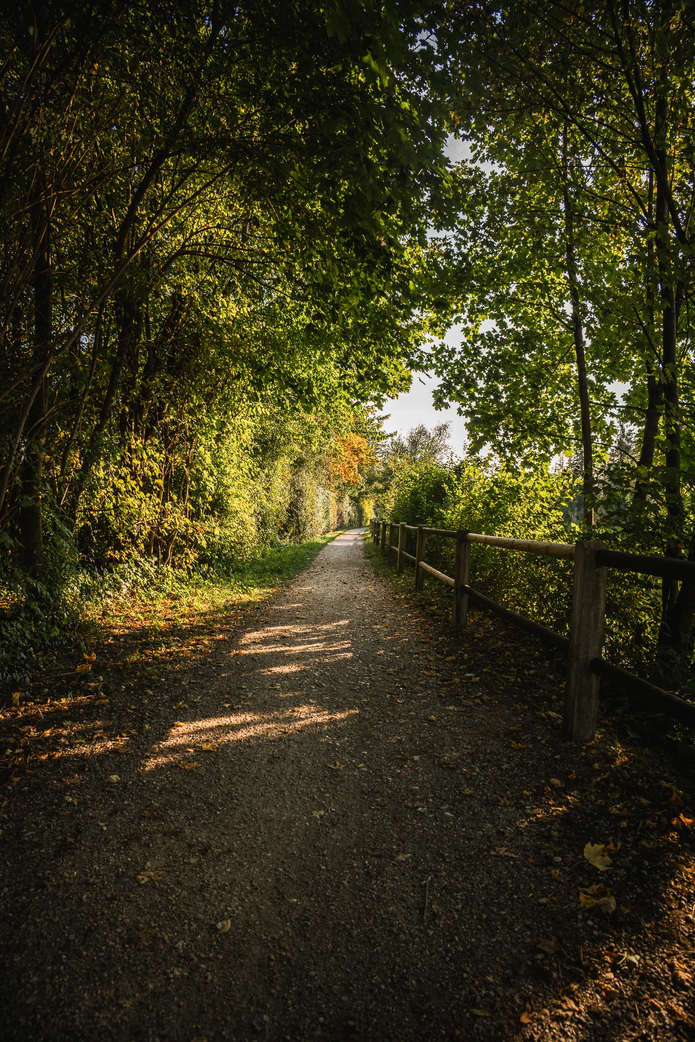 Schattiger Weg im Grünen in Trostberg